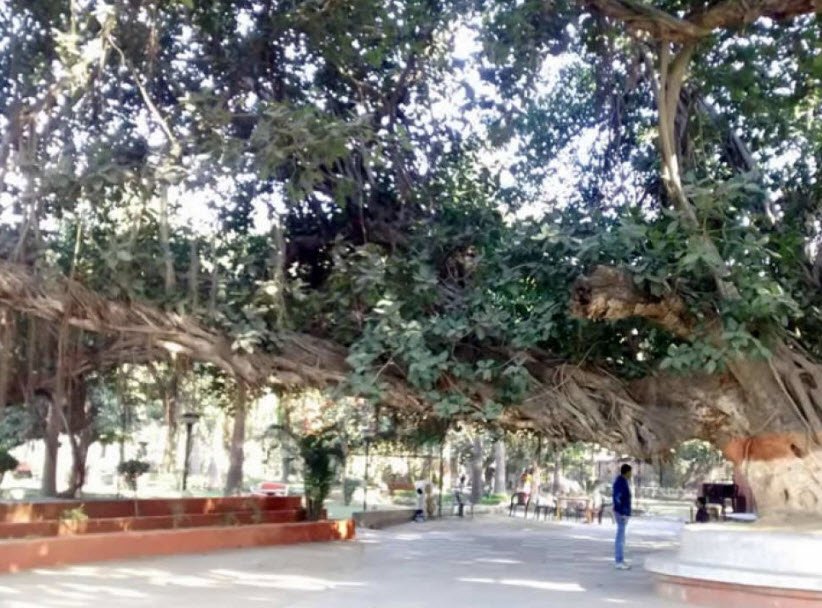 Sardar Patel Park, Ambala, Haryana - Vushii.com Sardar Patel Park, Ambala, Haryana - Vushii.com